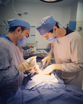 Slider image (6) OBEst